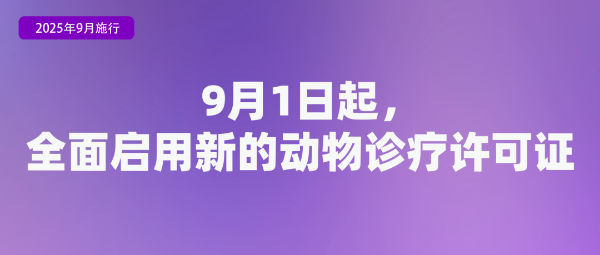 12.png